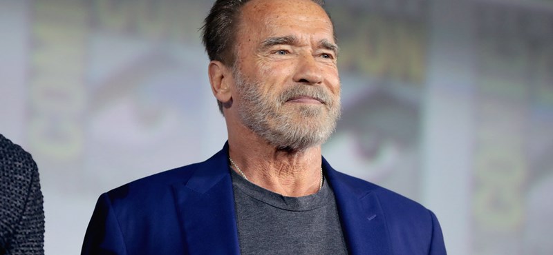 Arnold Schwarzenegger was involved in a car accident