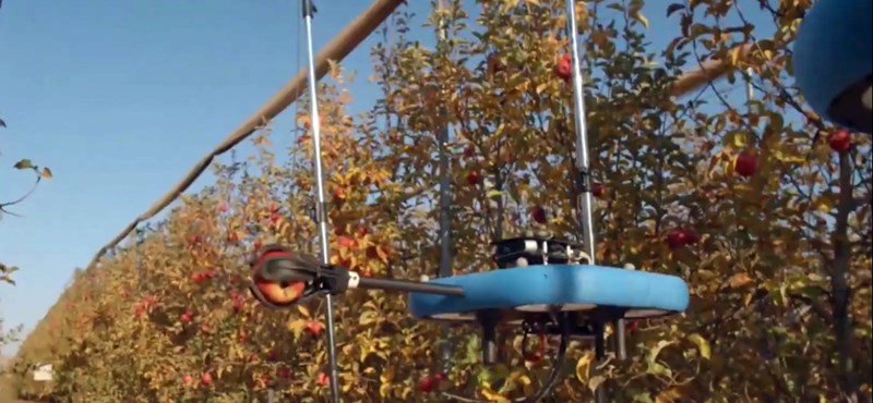 72 év után ember helyett már a mesterséges intelligencia szedi az almát egy olasz cégnél – videó