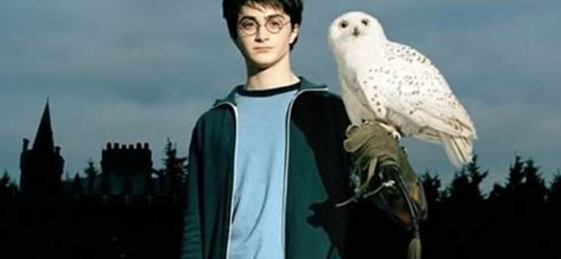 Varázslatos teszt profiknak: jól ismeritek Harry Pottert?