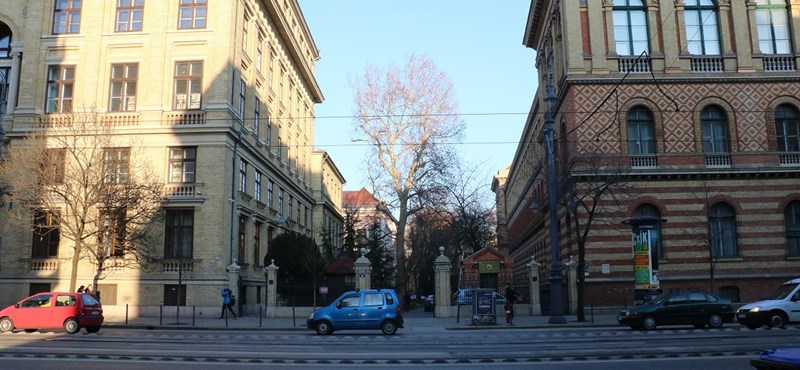 Tavalyi ponthatárok az ELTE legnépszerűbb szakjain: idén is nagy versenyre kell készülni