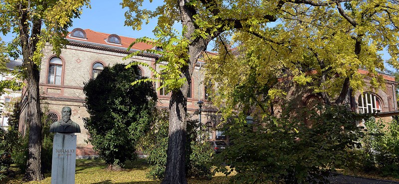 Az állatorvosi egyetem professzora is a világ legtöbbet idézett kutatói közé került