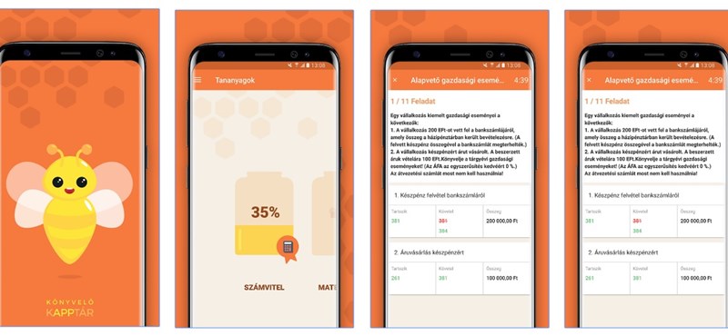 Ingyenes alkalmazás, amivel könnyedén tanulhattok számvitelt