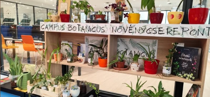 „Növénycserepont” nyílt a Miskolci Egyetemi Könyvtárban