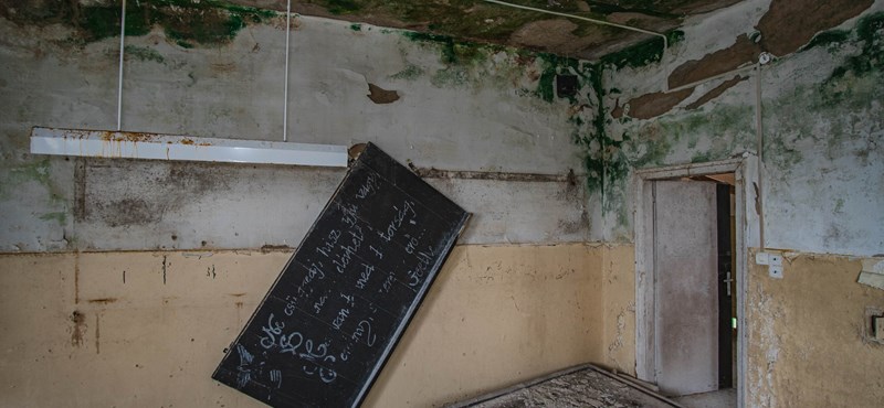 Már csak a hátrahagyott kitömött állatok laknak ebben az enyészetté váló iskolában 