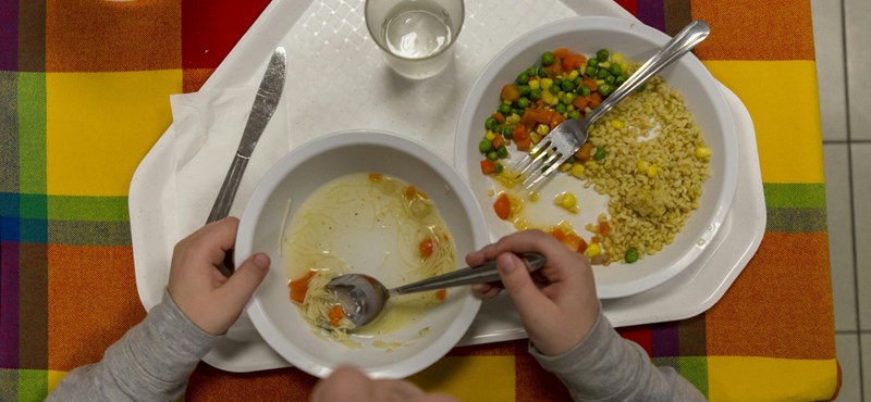 Mérgező gyomnövény került a gyerekeknek felszolgált zöldbabfőzelékbe Kőbányán