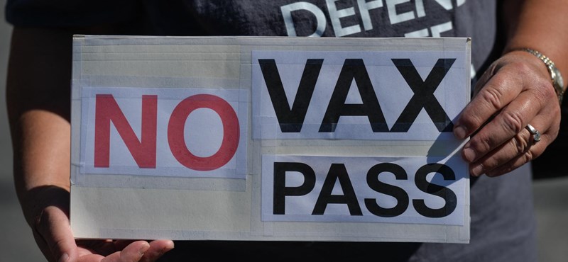 Los legisladores franceses recibieron amenazas de muerte por la introducción de tarjetas de vacunación