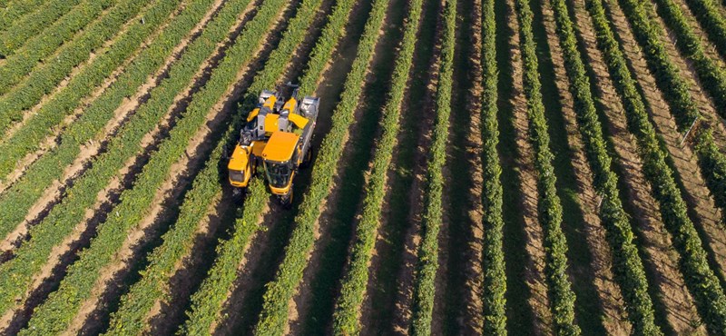 Friss felsőoktatási rangsor: ezek a legjobb agrárképzések