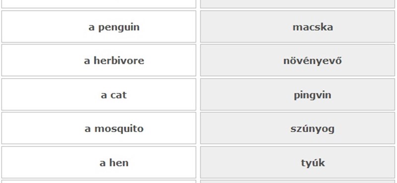 Egyperces teszt: mekkora a szókincsetek?