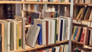 Nekik biztos ötös lesz a magyarérettségi is - ezekből az iskolákból jutottak be diákok az irodalom és nyelvtan OKTV döntőjébe 